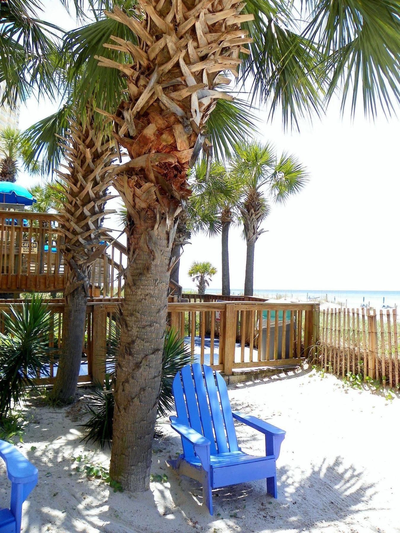 פנמה סיטי ביץ' The Driftwood Lodge מראה חיצוני תמונה